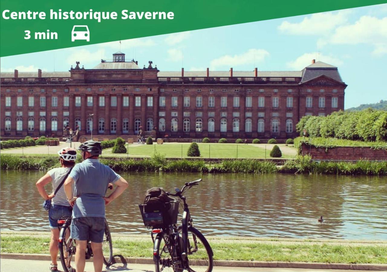 Auguste, La Romaine Et My Cesar - Location Saverne Exterior foto